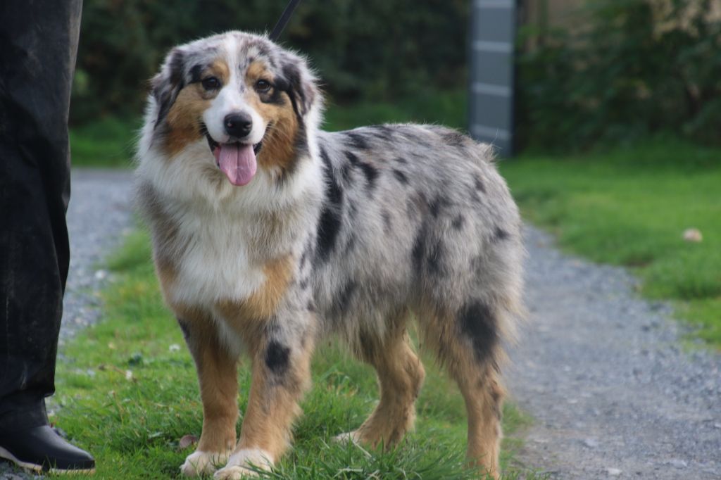 Reine'bo Du Domaine De La Canurie