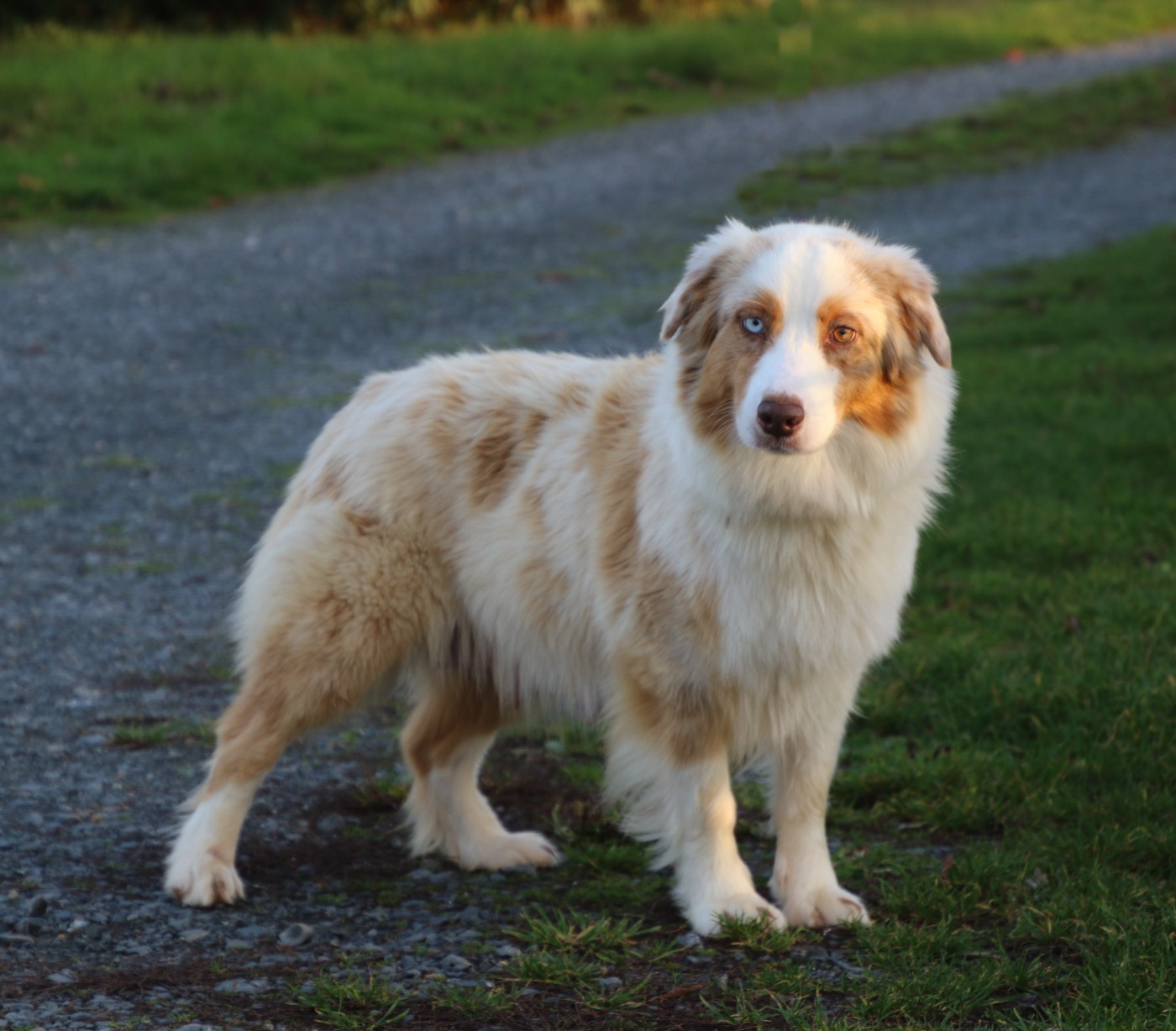 Tempete Du Domaine De La Canurie