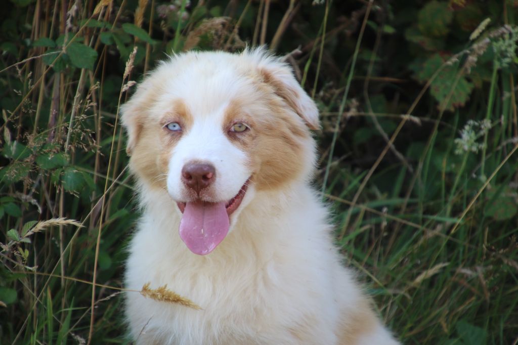 Tempete Du Domaine De La Canurie