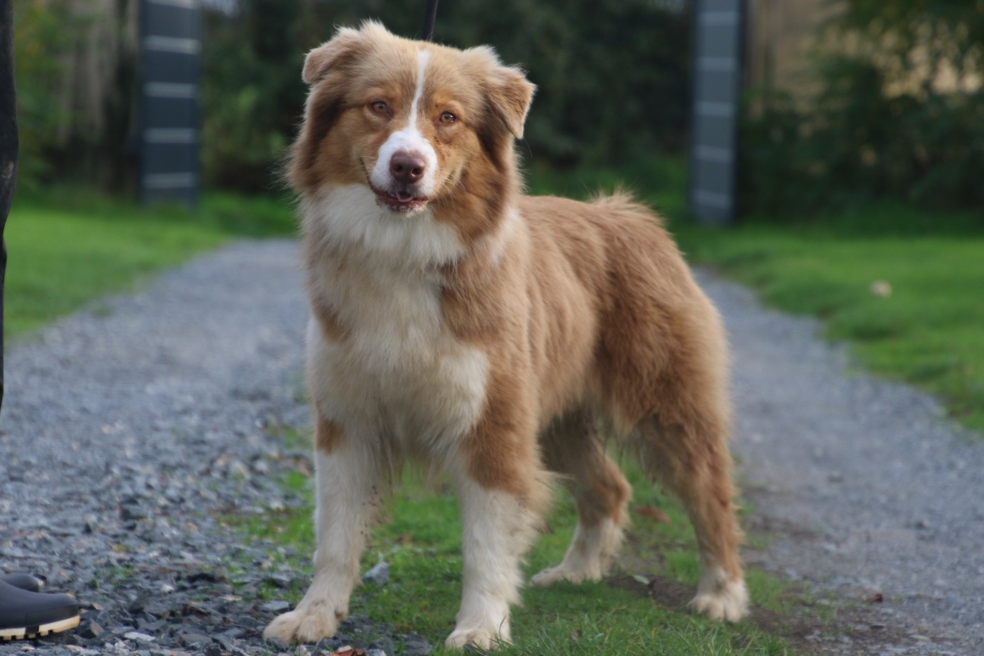 RIVAGE STAR Du Domaine De La Canurie